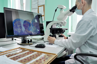 Паталогоанатомические исследования